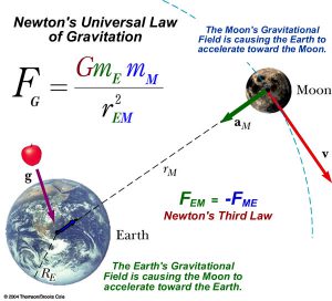 newton gravity